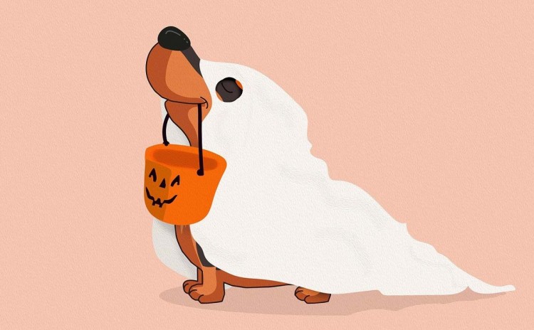 Halloween Heerjansdam