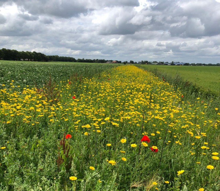 Waterkwaliteit en boerenbelang