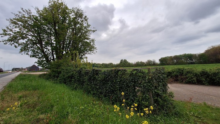 Terugblik: Oriëntatieavond over de GREX Noordoevers