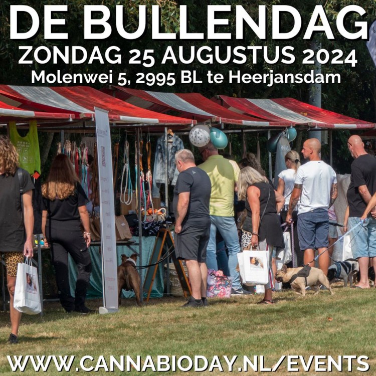 Bullendag op het buitenterrein van Kynologenclub Dordrecht e.o.