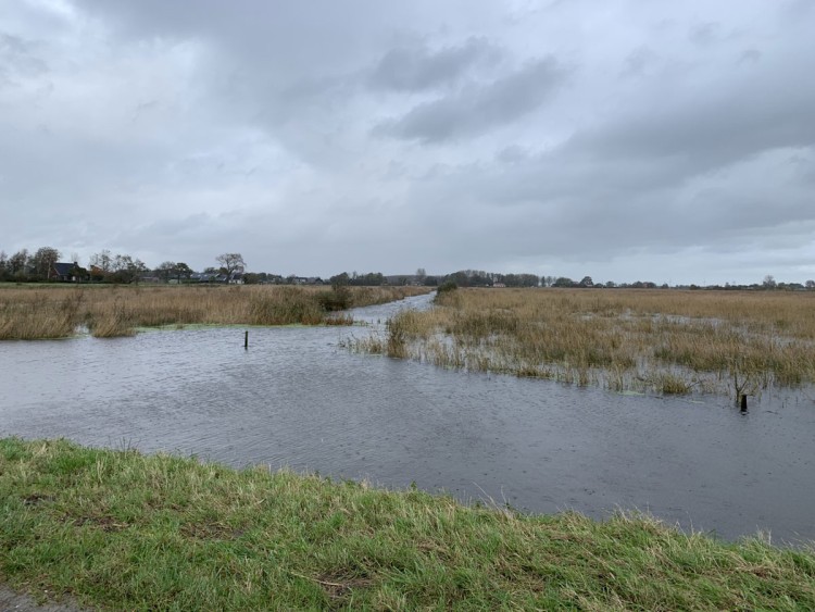 Ruimte voor het water