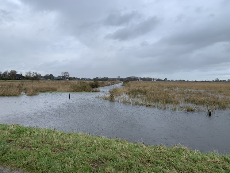 Bescherming tegen wateroverlast mistig