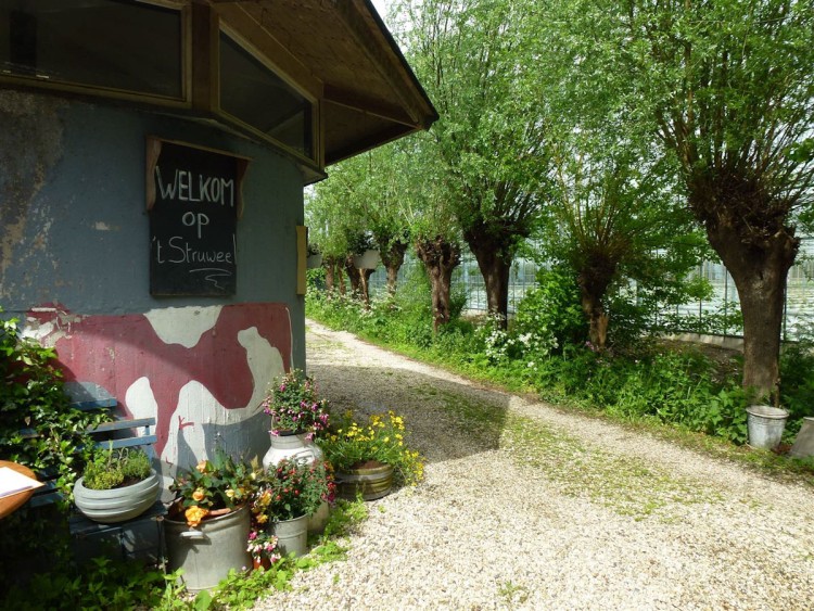 Open tuin in 't Struweel
