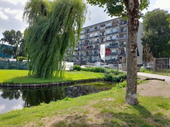 Noodkreet bewoners Buizerdstraat: “Van stilte naar bouwhel”