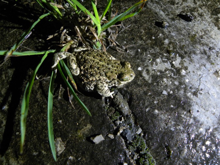 Beleving van de Nacht van de Nacht op zaterdag 25 oktober 2025