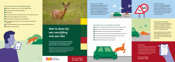 Album afbeelding 1