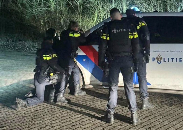 Schietincident tijdens festival in Amsterdam, 19-jarige man uit Zwijndrecht aangehouden