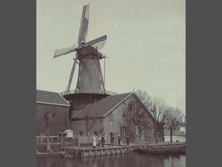 Expositie: Molens in de Zwijndrechtse Waard