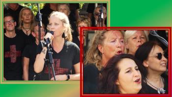 Album afbeelding 151