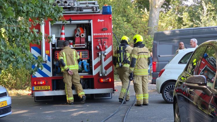 Oplettende omstanders voorkomen erger bij brand in bosjes langs Rozand