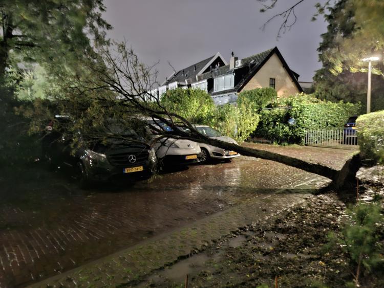 Stormen Austen en Boelo zorgen voor stormschade in regio