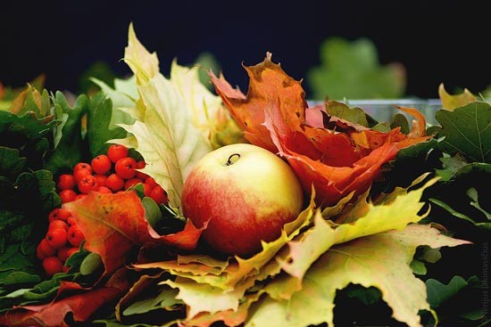 Natuuractiviteit jeugd  "Herfst workshop"