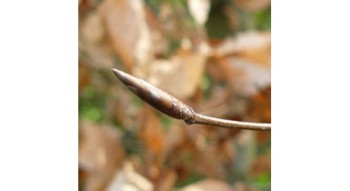 Publiekswandeling Het schuiven der knoppen