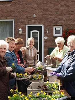 Album afbeelding 2