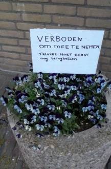 Album afbeelding 2