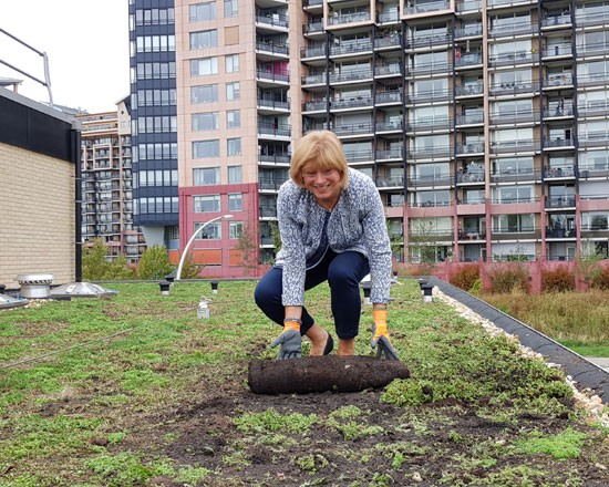 Gymzaal Welhorst voorzien van een 'groen dak'