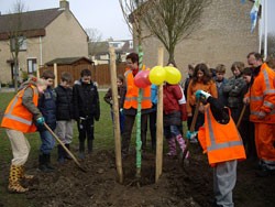 Zwijndrecht plant tientallen bomen op Boomfeestdag