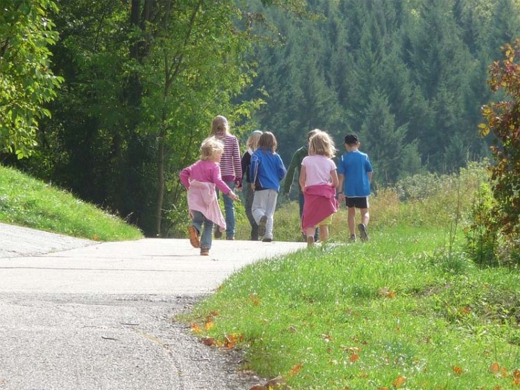 Natuuractiviteit jeugd  "Natuur wandeling"